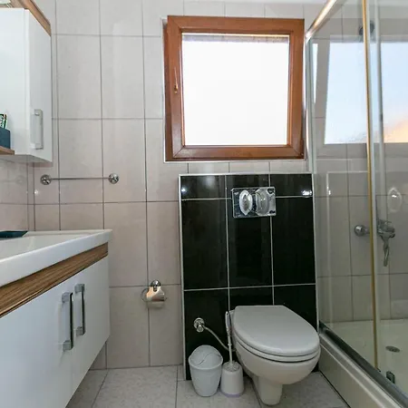 Paradise Town Beliza ベレキ