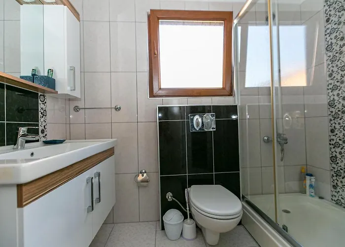 Paradise Town Beliza 베렉